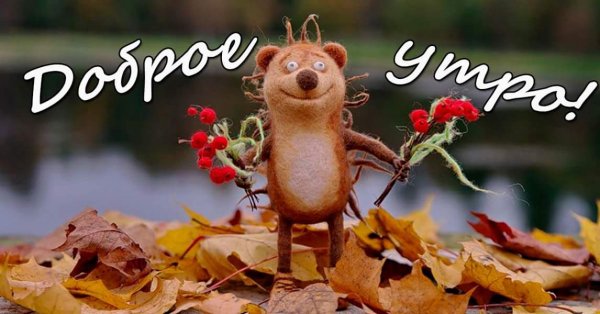 Доброе утро