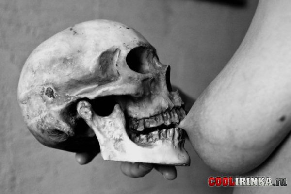 cherep-kusaet-sosok-na-goloy-