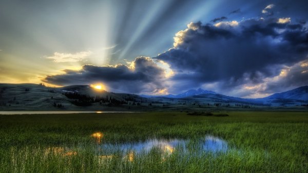 baea453434699249c1bf5622669