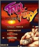 fatalfury240
