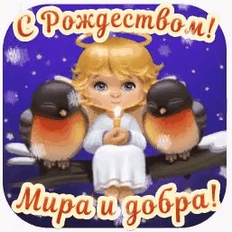 6c4e4f9e579513ddab49dc0a14ad0f36
