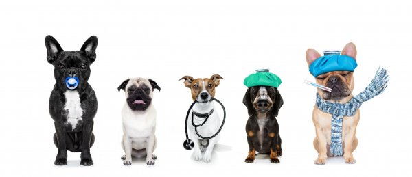 IStock-1186972581-allergic-021621-scaled
