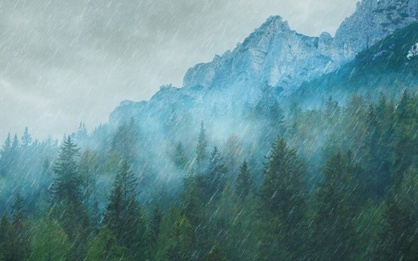 Monsoons 2
