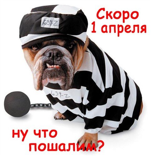 1 aprelya