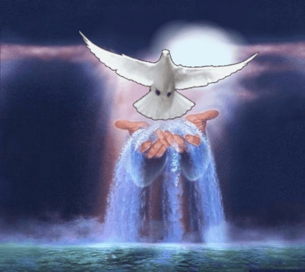 Голубь Ладони