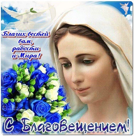 file_81156993