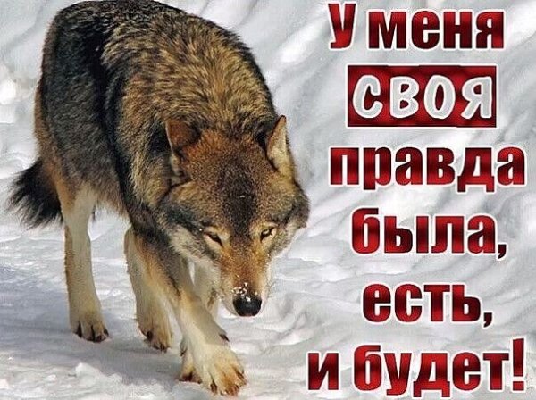 IMG 20251225 194944