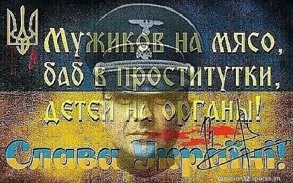 IMG 20230810 074956--