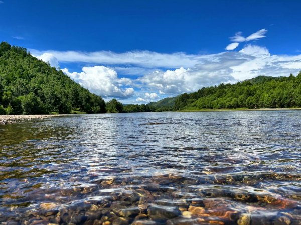 -5269383620869614445 121