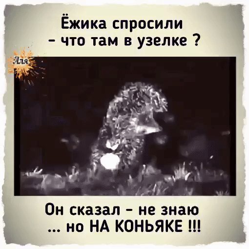 IMG 20200301 203929