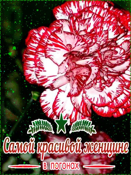 С 23 Февраля!Самой красивой женщине в погонах!