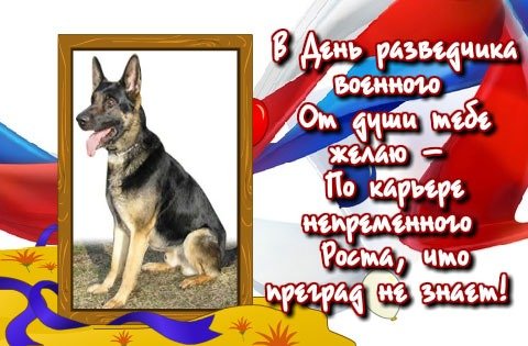 Открытка в день разведчика военного
