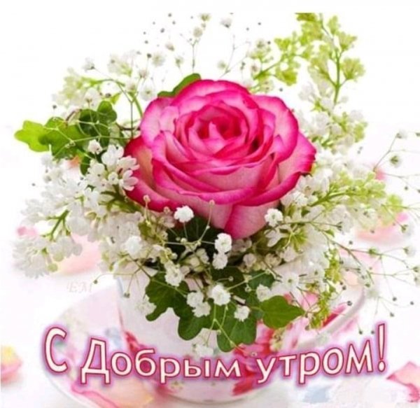 IMG 20190606 045340