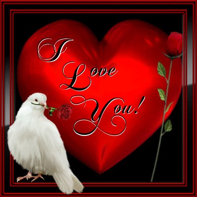 Discussão GIFS DE CORAÇÃO