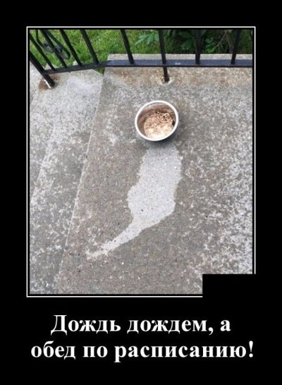 file_78413710
