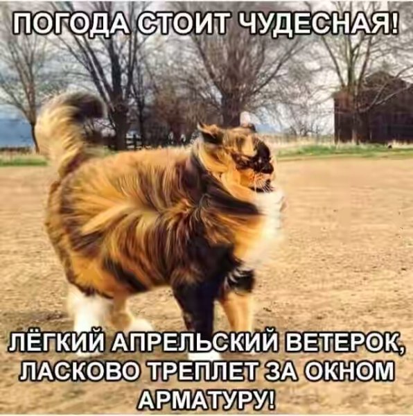 file_68371183