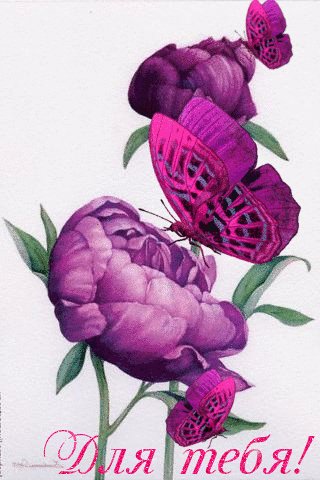file_75146166