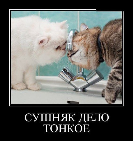 b8bea8e29e3a6f691e270ab325c75-