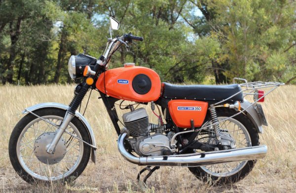 Всем на дерево!