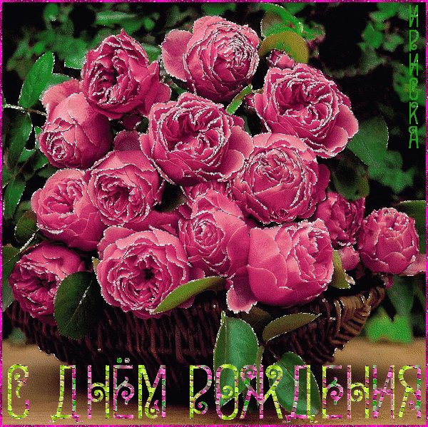 gifвапппрррооо