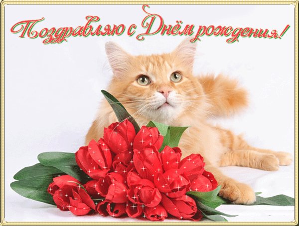С Днём Рождения!