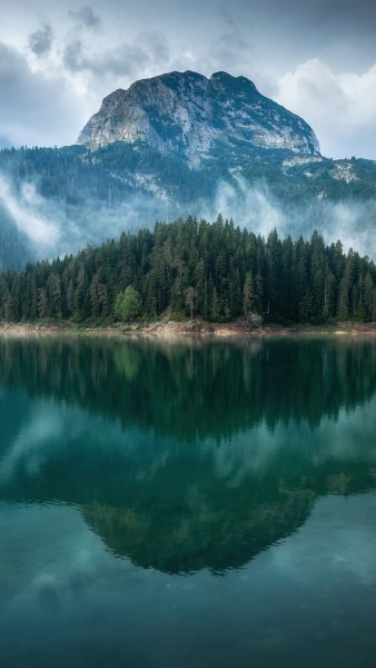 file_96353130