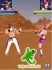 The Fight 3D