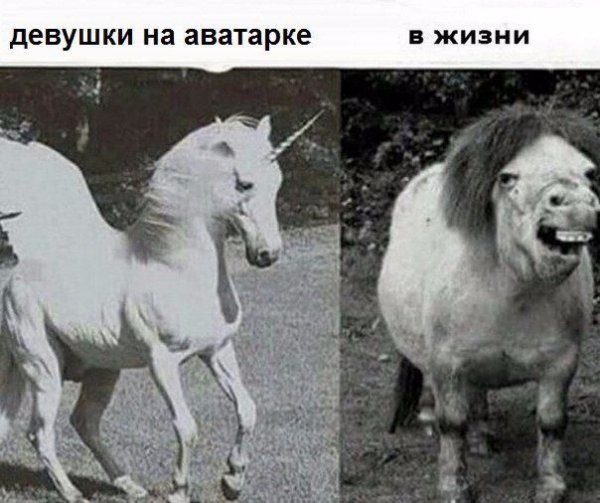 kyefj