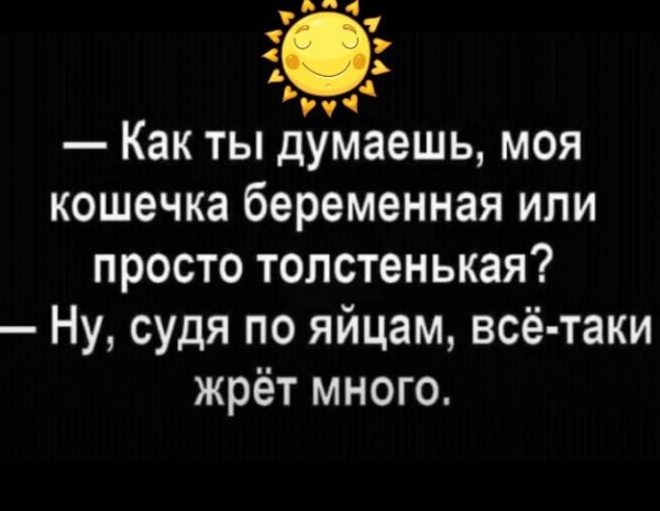 file_98137053