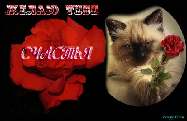 zhelayu tebe schastya