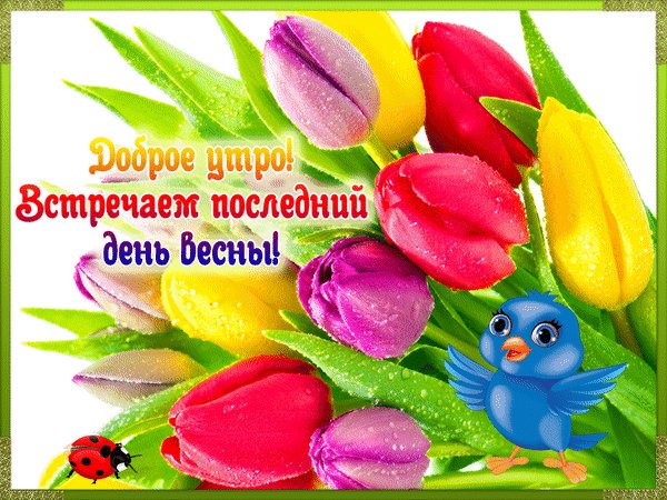 Анимированная открытка доброе утро встречаем