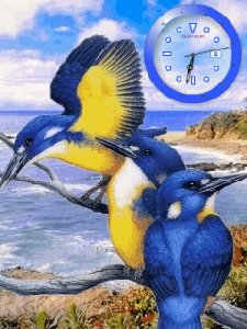 Birds
