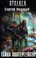 33 - Sergey Nedorub - Tayna Poltergeysta