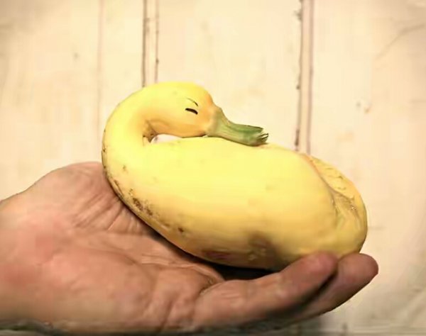 fruit14