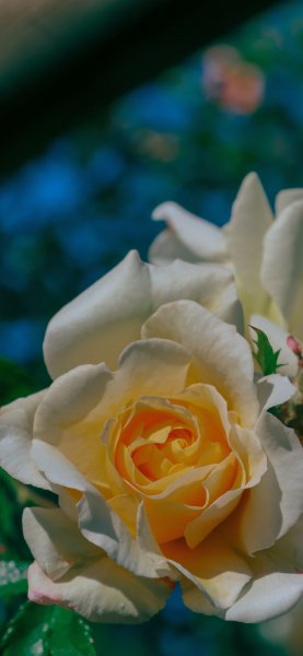file_95149710
