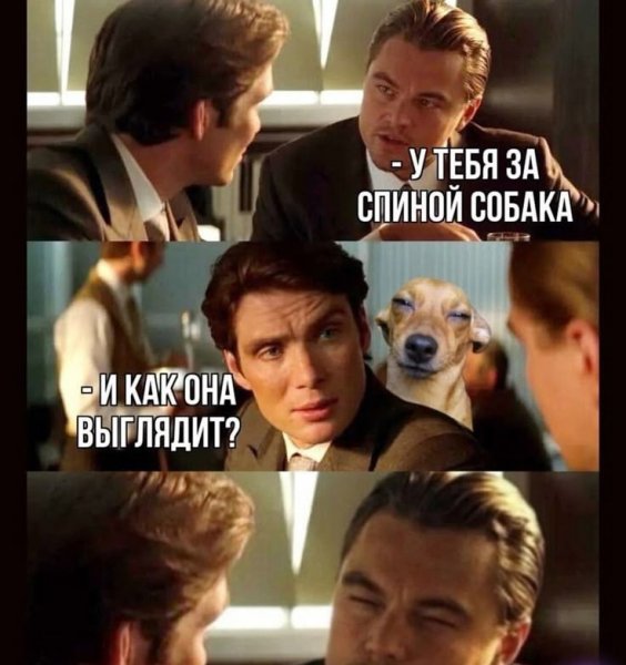 IMG 20260501 022619