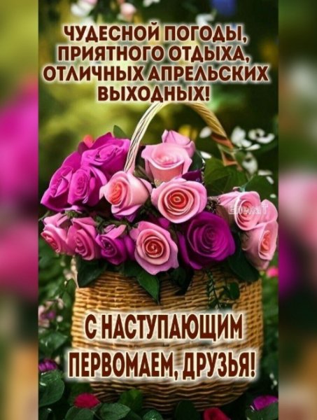 IMG 20260430 164637