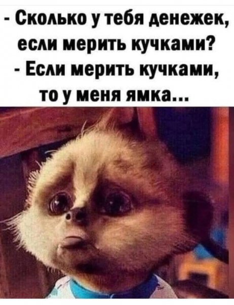 IMG 20250404 211626 471