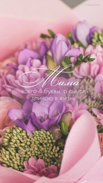 file_95156233