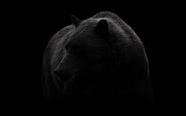 ComputerDesktopWallpapersCollection2176 044