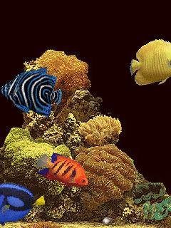 Aquarium