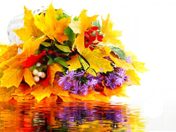 file_94285878