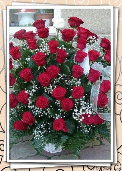 file_93129264