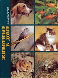 Zhivotnye-v-dome-entsiklopediya