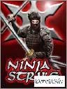 Ninja Strike
