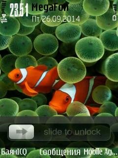 Ipone icons animated