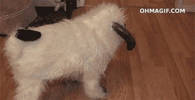 Истинный Довакин