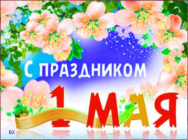 file_81448115