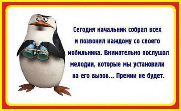 Премии не будет