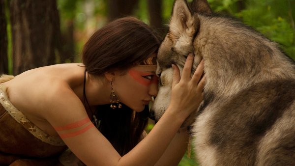 native american indian fantasy wolf wolv